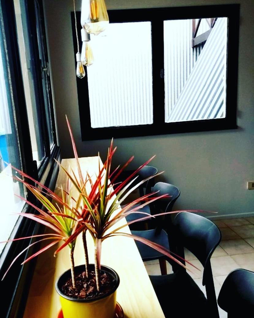 Trastienda Guest House エル・カラファテ 部屋 写真